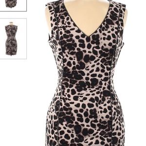 J Lo by Jennifer Lopez Animal print cocktail dress